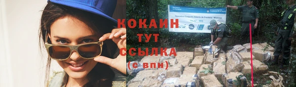 кокс Новодвинск