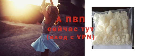 ECSTASY Абаза
