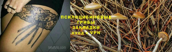 ECSTASY Абаза